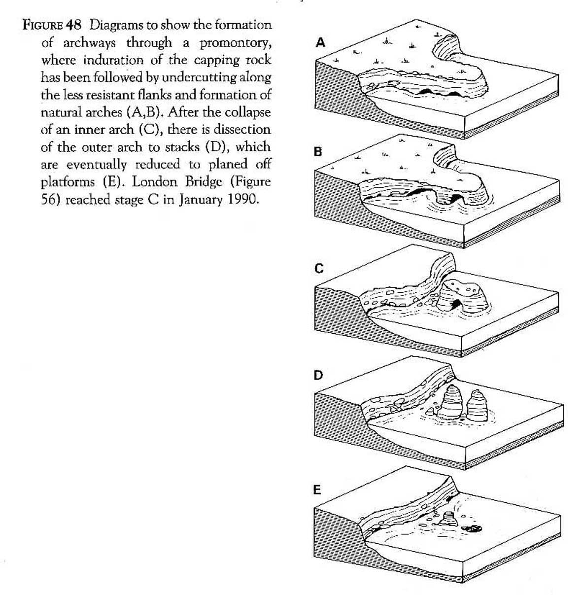 geo processes pt campbell headland